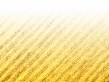 智能農(nóng)機(jī)、“訂單”服務(wù)、“云端”種菜——來(lái)自江西的春耕“新事”